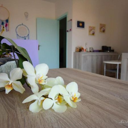 Bed and Breakfast L' Acchiappasogni Сант-Антиоко Экстерьер фото